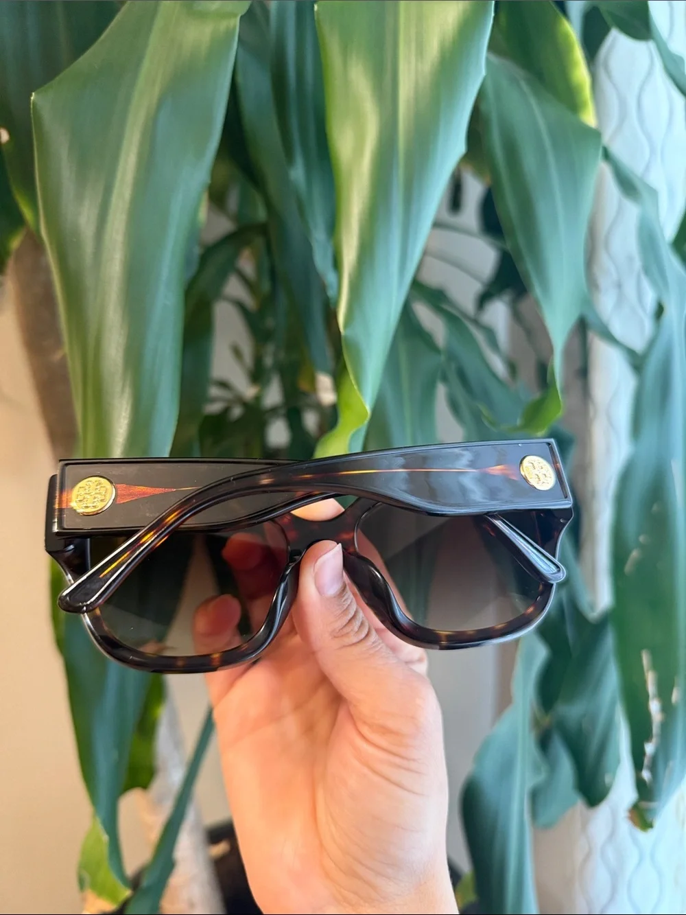 Tory Burch Black Oversized Women's Sunglasses